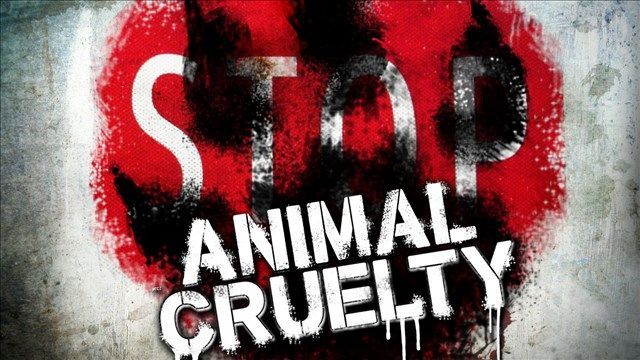 animal-cruelty-stats